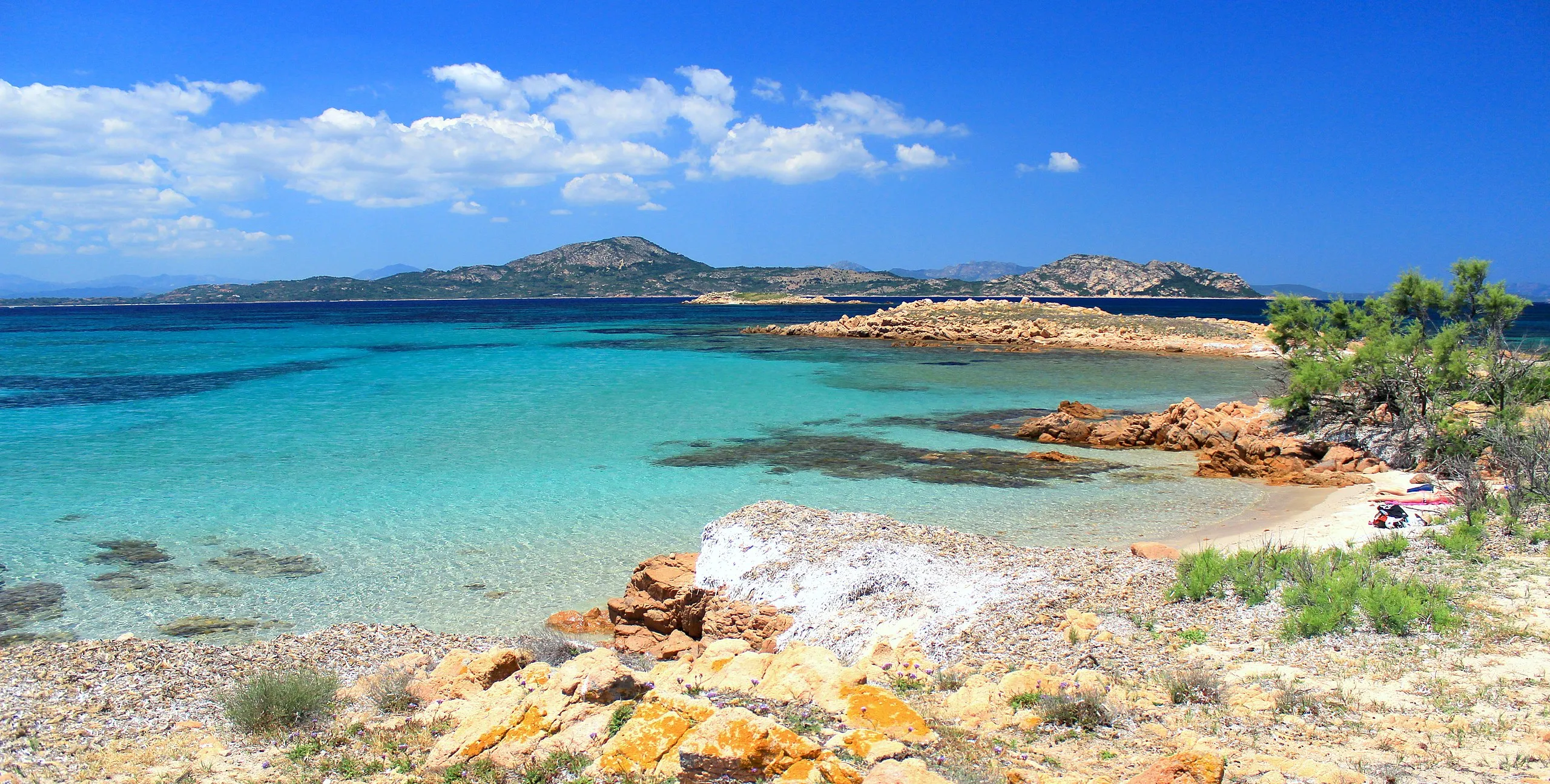 Olbia mare