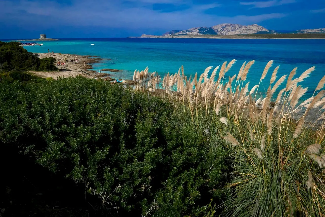 mare sardegna veduta