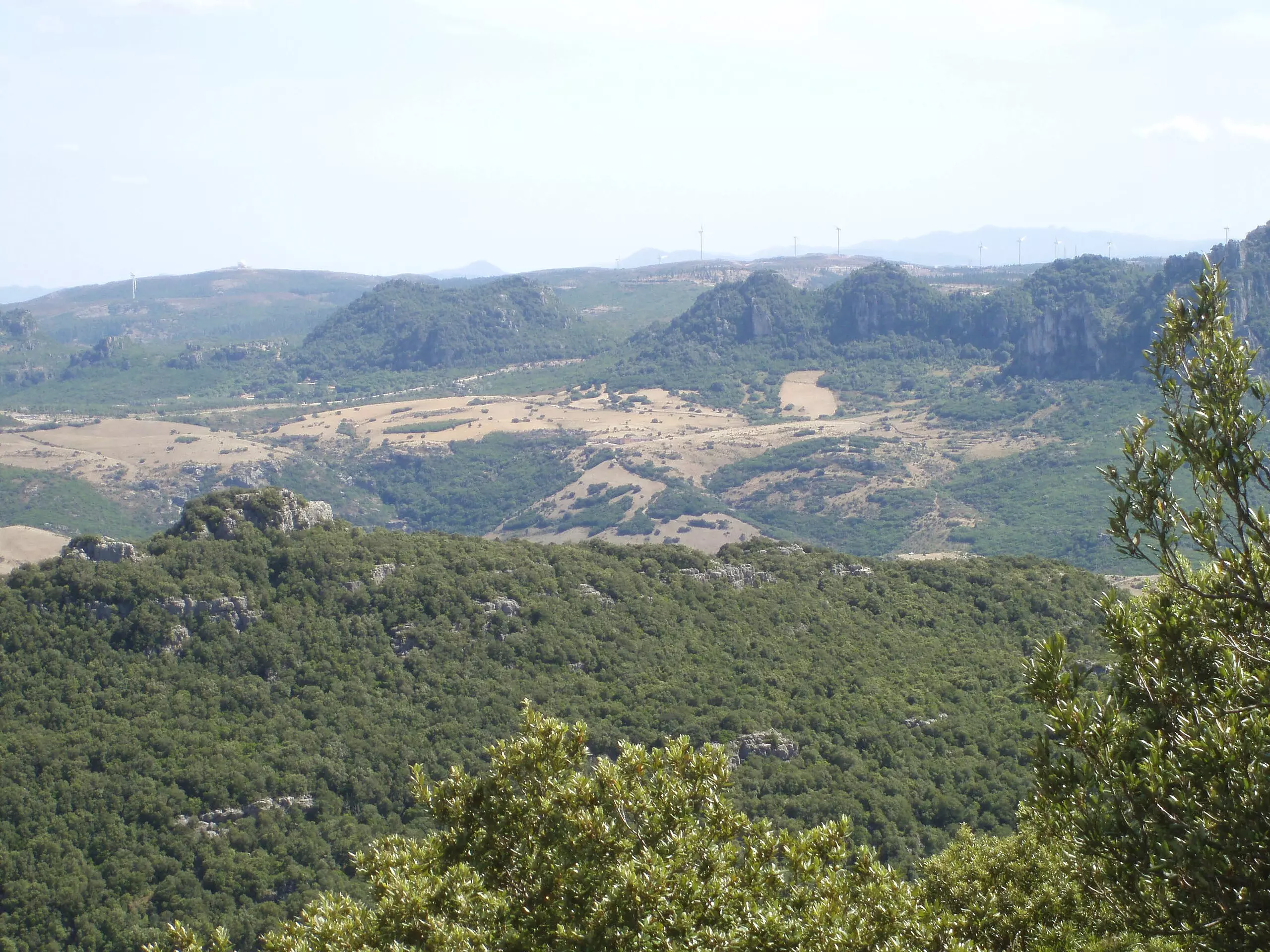 7 fratelli Sardegna